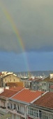Enlarge photo 42