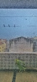 Enlarge photo 47