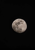 Enlarge photo 54