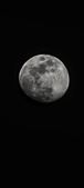Enlarge photo 55