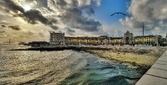Enlarge photo 83