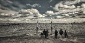 Enlarge photo 87