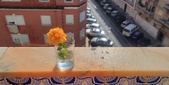 Enlarge photo 137