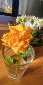 Enlarge photo 147