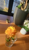 Enlarge photo 148