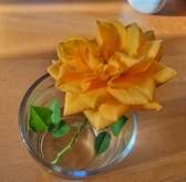 Enlarge photo 151