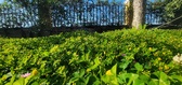 Enlarge photo 153
