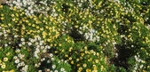 Enlarge photo 154