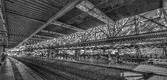Enlarge photo 170