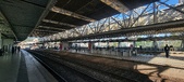 Enlarge photo 172