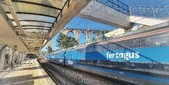 Enlarge photo 184
