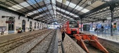 Enlarge photo 193