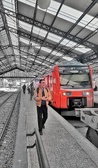 Enlarge photo 192