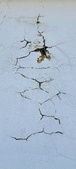 Enlarge photo 197
