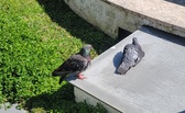 Enlarge photo 202
