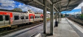Enlarge photo 206