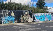 Enlarge photo 216