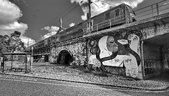 Enlarge photo 224