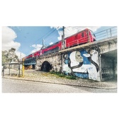 Enlarge photo 226