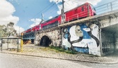 Enlarge photo 225