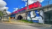 Enlarge photo 223