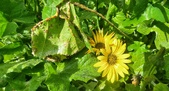 Enlarge photo 251