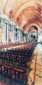 Enlarge photo 265