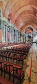 Enlarge photo 262