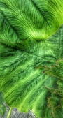Enlarge photo 325