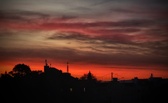 Enlarge photo 331