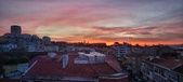 Enlarge photo 335