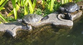 Enlarge photo 340