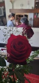 Enlarge photo 348