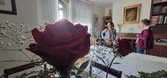 Enlarge photo 352