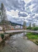 Enlarge photo 392