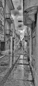Enlarge photo 397