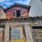 Enlarge photo 399
