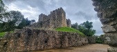 Enlarge photo 405