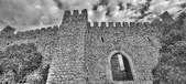 Enlarge photo 418