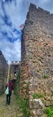Enlarge photo 429