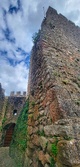 Enlarge photo 430