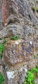 Enlarge photo 431