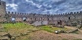Enlarge photo 433