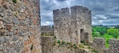 Enlarge photo 443
