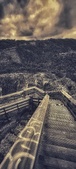 Enlarge photo 457
