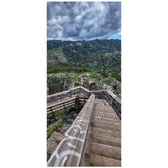 Enlarge photo 458
