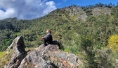 Enlarge photo 483