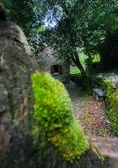 Enlarge photo 488