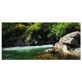 Enlarge photo 494