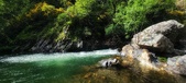 Enlarge photo 493